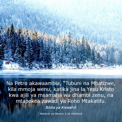 Picture 03 - Matendo ya Mitume 2:38 SWHULB - Na Petro akawaambia, “Tubuni na Mbatizwe, kila - Bible Verse Picture