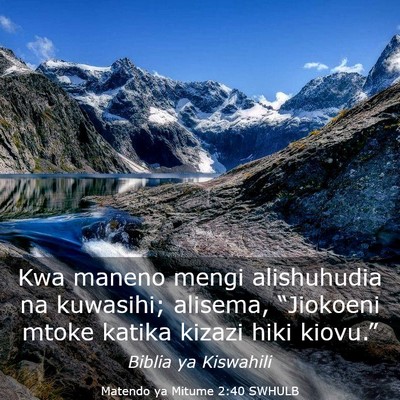 Picture 03 - Matendo ya Mitume 2:40 SWHULB - Kwa maneno mengi alishuhudia na kuwasihi; - Bible Verse Picture