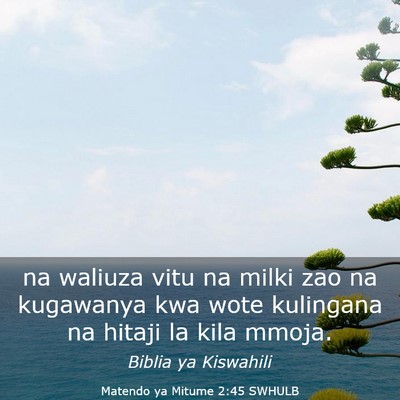 Picture 03 - Matendo ya Mitume 2:45 SWHULB - na waliuza vitu na milki zao na kugawanya kwa - Bible Verse Picture