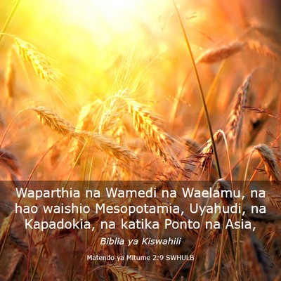 Picture 03 - Matendo ya Mitume 2:9 SWHULB - Waparthia na Wamedi na Waelamu, na hao waishio - Bible Verse Picture