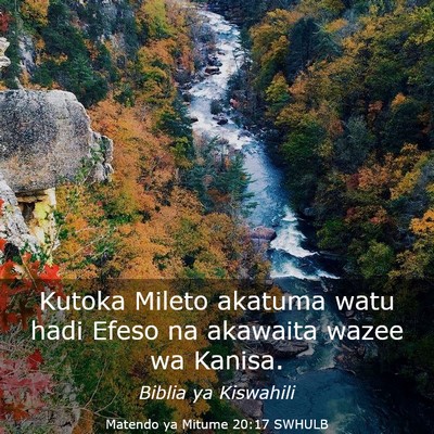 Picture 03 - Matendo ya Mitume 20:17 SWHULB - Kutoka Mileto akatuma watu hadi Efeso na akawaita - Bible Verse Picture