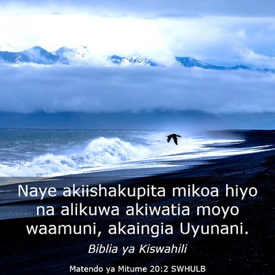 Picture 03 - Matendo ya Mitume 20:2 SWHULB - Naye akiishakupita mikoa hiyo na alikuwa akiwatia - Bible Verse Picture