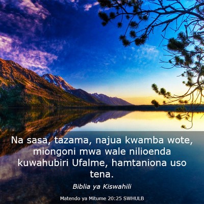 Picture 03 - Matendo ya Mitume 20:25 SWHULB - Na sasa, tazama, najua kwamba wote, miongoni mwa - Bible Verse Picture