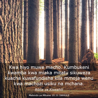 Picture 03 - Matendo ya Mitume 20:31 SWHULB - Kwa hiyo muwe macho. Kumbukeni kwamba kwa miaka - Bible Verse Picture