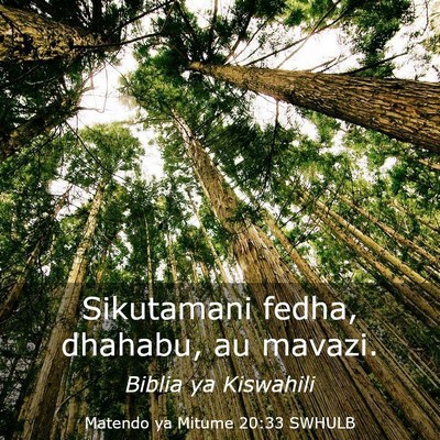 Picture 03 - Matendo ya Mitume 20:33 SWHULB - Sikutamani fedha, dhahabu, au - Bible Verse Picture