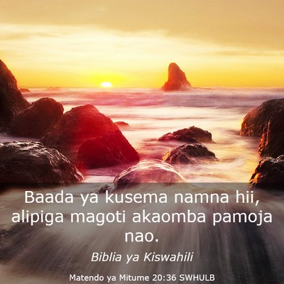 Picture 03 - Matendo ya Mitume 20:36 SWHULB - Baada ya kusema namna hii, alipiga magoti akaomba - Bible Verse Picture