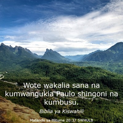 Picture 03 - Matendo ya Mitume 20:37 SWHULB - Wote wakalia sana na kumwangukia Paulo shingoni - Bible Verse Picture