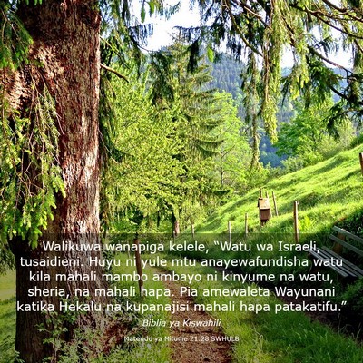 Picture 03 - Matendo ya Mitume 21:28 SWHULB - Walikuwa wanapiga kelele, “Watu wa Israeli, - Bible Verse Picture