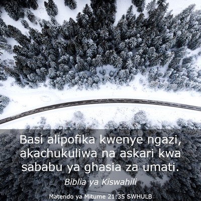 Picture 03 - Matendo ya Mitume 21:35 SWHULB - Basi alipofika kwenye ngazi, akachukuliwa na - Bible Verse Picture