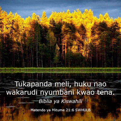 Picture 03 - Matendo ya Mitume 21:6 SWHULB - Tukapanda meli, huku nao wakarudi nyumbani kwao - Bible Verse Picture