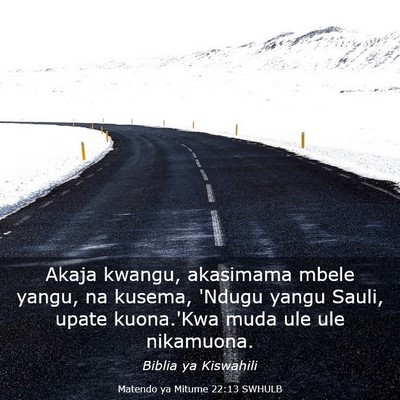 Picture 03 - Matendo ya Mitume 22:13 SWHULB - Akaja kwangu, akasimama mbele yangu, na kusema, - Bible Verse Picture