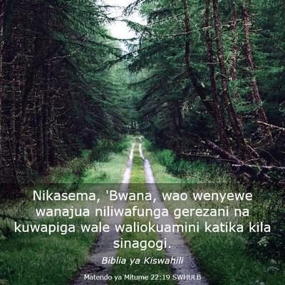 Picture 03 - Matendo ya Mitume 22:19 SWHULB - Nikasema, 'Bwana, wao wenyewe wanajua niliwafunga - Bible Verse Picture