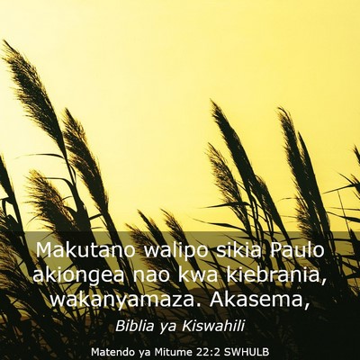Picture 03 - Matendo ya Mitume 22:2 SWHULB - Makutano walipo sikia Paulo akiongea nao kwa - Bible Verse Picture
