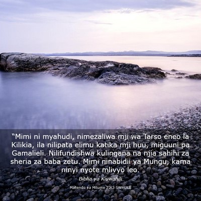 Picture 03 - Matendo ya Mitume 22:3 SWHULB - “Mimi ni myahudi, nimezaliwa mji wa Tarso eneo - Bible Verse Picture