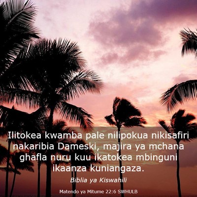 Picture 03 - Matendo ya Mitume 22:6 SWHULB - Ilitokea kwamba pale nilipokua nikisafiri - Bible Verse Picture