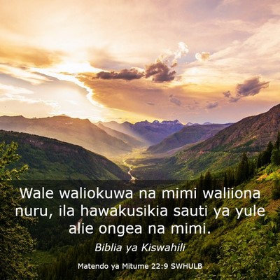 Picture 03 - Matendo ya Mitume 22:9 SWHULB - Wale waliokuwa na mimi waliiona nuru, ila - Bible Verse Picture