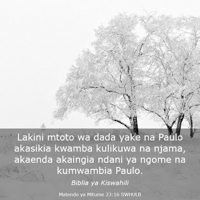 Picture 03 - Matendo ya Mitume 23:16 SWHULB - Lakini mtoto wa dada yake na Paulo akasikia - Bible Verse Picture