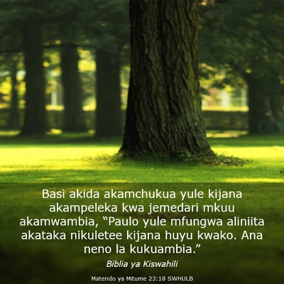 Picture 03 - Matendo ya Mitume 23:18 SWHULB - Basi akida akamchukua yule kijana akampeleka kwa - Bible Verse Picture
