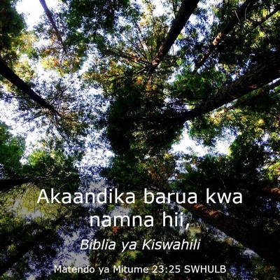 Picture 03 - Matendo ya Mitume 23:25 SWHULB - Akaandika barua kwa namna - Bible Verse Picture