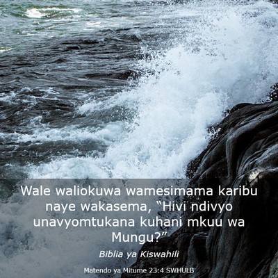 Picture 03 - Matendo ya Mitume 23:4 SWHULB - Wale waliokuwa wamesimama karibu naye wakasema, - Bible Verse Picture