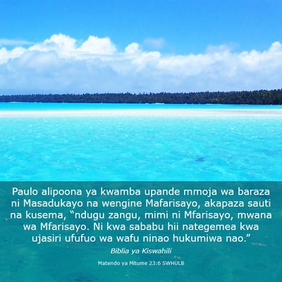 Picture 03 - Matendo ya Mitume 23:6 SWHULB - Paulo alipoona ya kwamba upande mmoja wa baraza - Bible Verse Picture