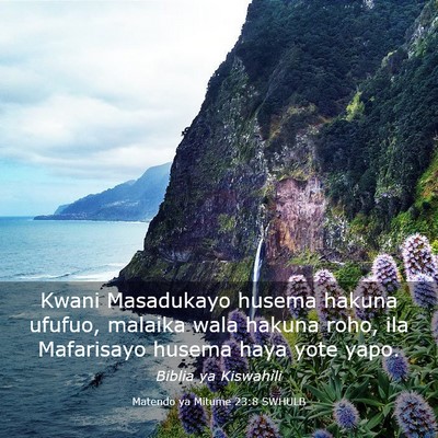 Picture 03 - Matendo ya Mitume 23:8 SWHULB - Kwani Masadukayo husema hakuna ufufuo, malaika - Bible Verse Picture