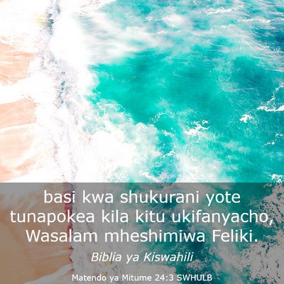 Picture 03 - Matendo ya Mitume 24:3 SWHULB - basi kwa shukurani yote tunapokea kila kitu - Bible Verse Picture