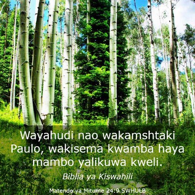 Picture 03 - Matendo ya Mitume 24:9 SWHULB - Wayahudi nao wakamshtaki Paulo, wakisema kwamba - Bible Verse Picture