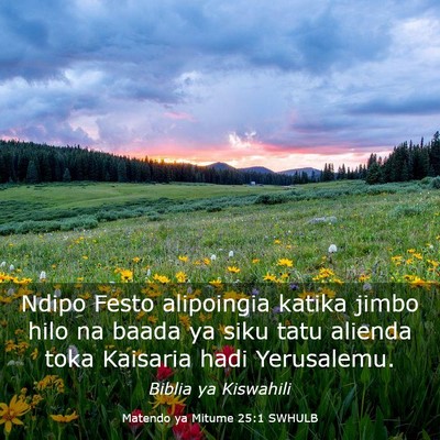 Picture 03 - Matendo ya Mitume 25:1 SWHULB - Ndipo Festo alipoingia katika jimbo hilo na baada - Bible Verse Picture