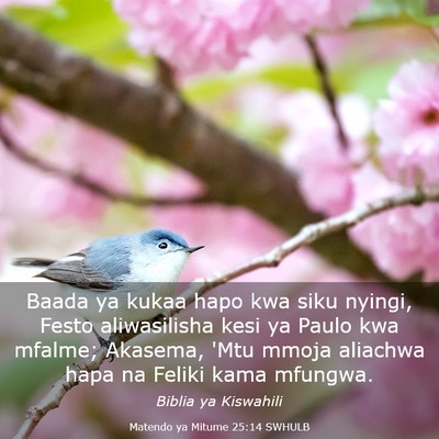 Picture 03 - Matendo ya Mitume 25:14 SWHULB - Baada ya kukaa hapo kwa siku nyingi, Festo - Bible Verse Picture