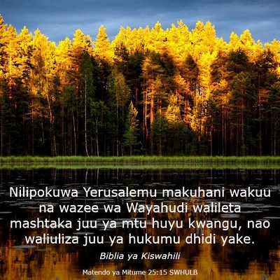 Picture 03 - Matendo ya Mitume 25:15 SWHULB - Nilipokuwa Yerusalemu makuhani wakuu na wazee wa - Bible Verse Picture