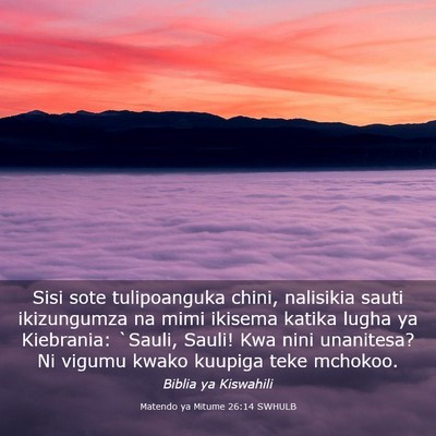 Picture 03 - Matendo ya Mitume 26:14 SWHULB - Sisi sote tulipoanguka chini, nalisikia sauti - Bible Verse Picture