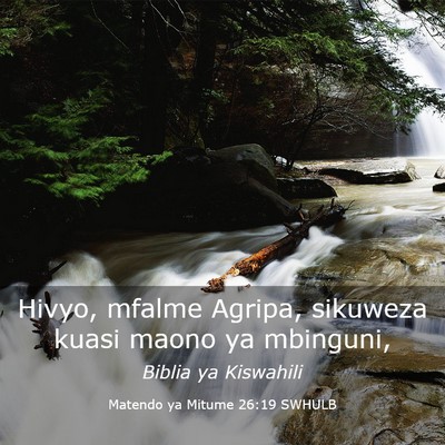 Picture 03 - Matendo ya Mitume 26:19 SWHULB - Hivyo, mfalme Agripa, sikuweza kuasi maono ya - Bible Verse Picture