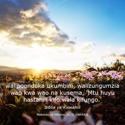 Picture 03 - Matendo ya Mitume 26:31 SWHULB - walipoondoka ukumbini, walizungumzia wao kwa wao - Bible Verse Picture