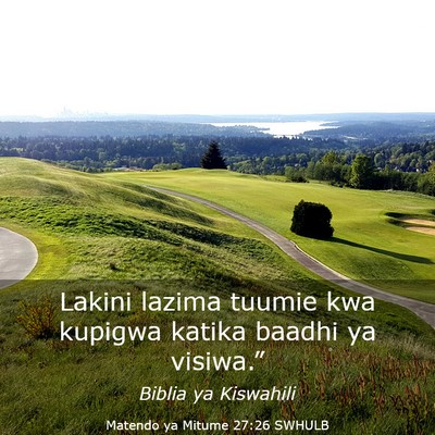 Picture 03 - Matendo ya Mitume 27:26 SWHULB - Lakini lazima tuumie kwa kupigwa katika baadhi ya - Bible Verse Picture