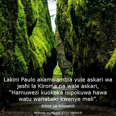 Picture 03 - Matendo ya Mitume 27:31 SWHULB - Lakini Paulo akamwambia yule askari wa jeshi la - Bible Verse Picture