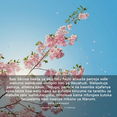Picture 03 - Matendo ya Mitume 28:17 SWHULB - Basi ilikuwa baada ya siku tatu Paulo aliwaita - Bible Verse Picture