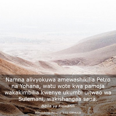 Picture 03 - Matendo ya Mitume 3:11 SWHULB - Namna alivyokuwa amewashikilia Petro na Yohana, - Bible Verse Picture
