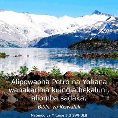 Picture 03 - Matendo ya Mitume 3:3 SWHULB - Alipowaona Petro na Yohana wanakaribia kuingia - Bible Verse Picture