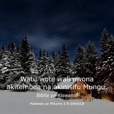 Picture 03 - Matendo ya Mitume 3:9 SWHULB - Watu wote walimwona akitembea na akimsifu - Bible Verse Picture