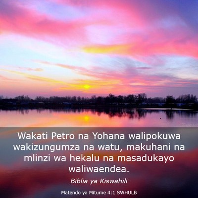 Picture 03 - Matendo ya Mitume 4:1 SWHULB - Wakati Petro na Yohana walipokuwa wakizungumza na - Bible Verse Picture