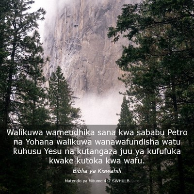 Picture 03 - Matendo ya Mitume 4:2 SWHULB - Walikuwa wameudhika sana kwa sababu Petro na - Bible Verse Picture