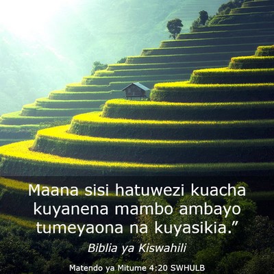 Picture 03 - Matendo ya Mitume 4:20 SWHULB - Maana sisi hatuwezi kuacha kuyanena mambo ambayo - Bible Verse Picture