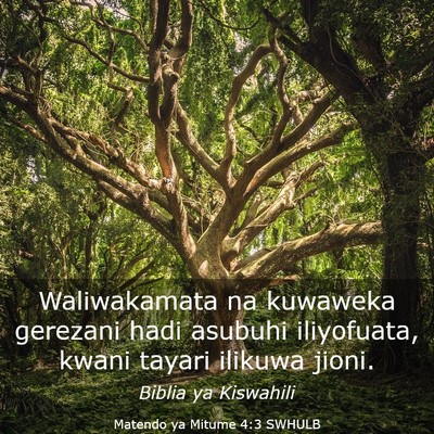 Picture 03 - Matendo ya Mitume 4:3 SWHULB - Waliwakamata na kuwaweka gerezani hadi asubuhi - Bible Verse Picture