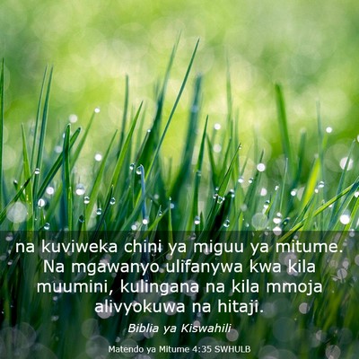 Picture 03 - Matendo ya Mitume 4:35 SWHULB - na kuviweka chini ya miguu ya mitume. Na mgawanyo - Bible Verse Picture