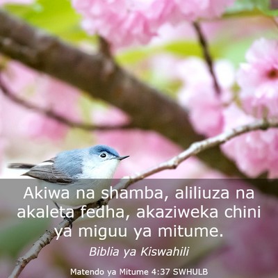 Picture 03 - Matendo ya Mitume 4:37 SWHULB - Akiwa na shamba, aliliuza na akaleta fedha, - Bible Verse Picture