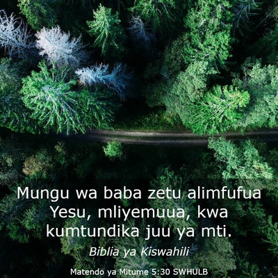Picture 03 - Matendo ya Mitume 5:30 SWHULB - Mungu wa baba zetu alimfufua Yesu, mliyemuua, kwa - Bible Verse Picture