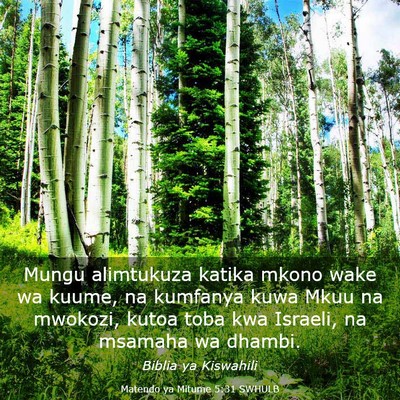 Picture 03 - Matendo ya Mitume 5:31 SWHULB - Mungu alimtukuza katika mkono wake wa kuume, na - Bible Verse Picture