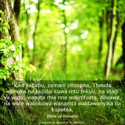 Picture 03 - Matendo ya Mitume 5:36 SWHULB - Kwa sababu, zamani zilizopita, Theuda aliinuka na - Bible Verse Picture