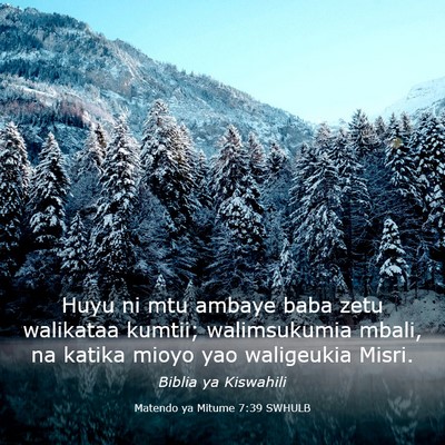 Picture 03 - Matendo ya Mitume 7:39 SWHULB - Huyu ni mtu ambaye baba zetu walikataa kumtii; - Bible Verse Picture